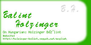 balint holzinger business card